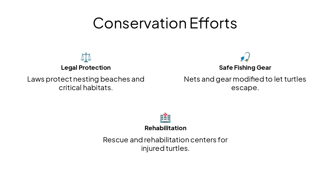 Slide 10 - Conservation Efforts