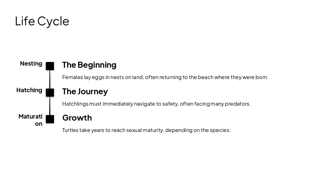 Slide 7 - Life Cycle