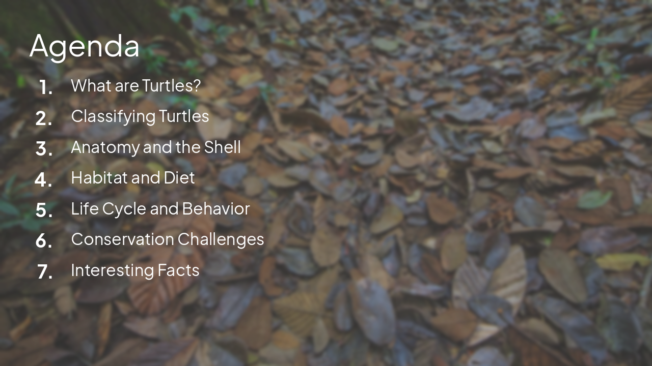 Slide 2 - Agenda