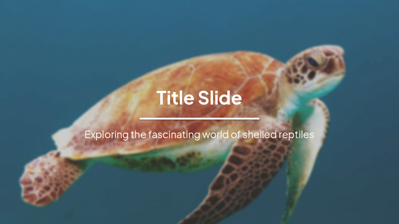 The Fascinating World of Turtles