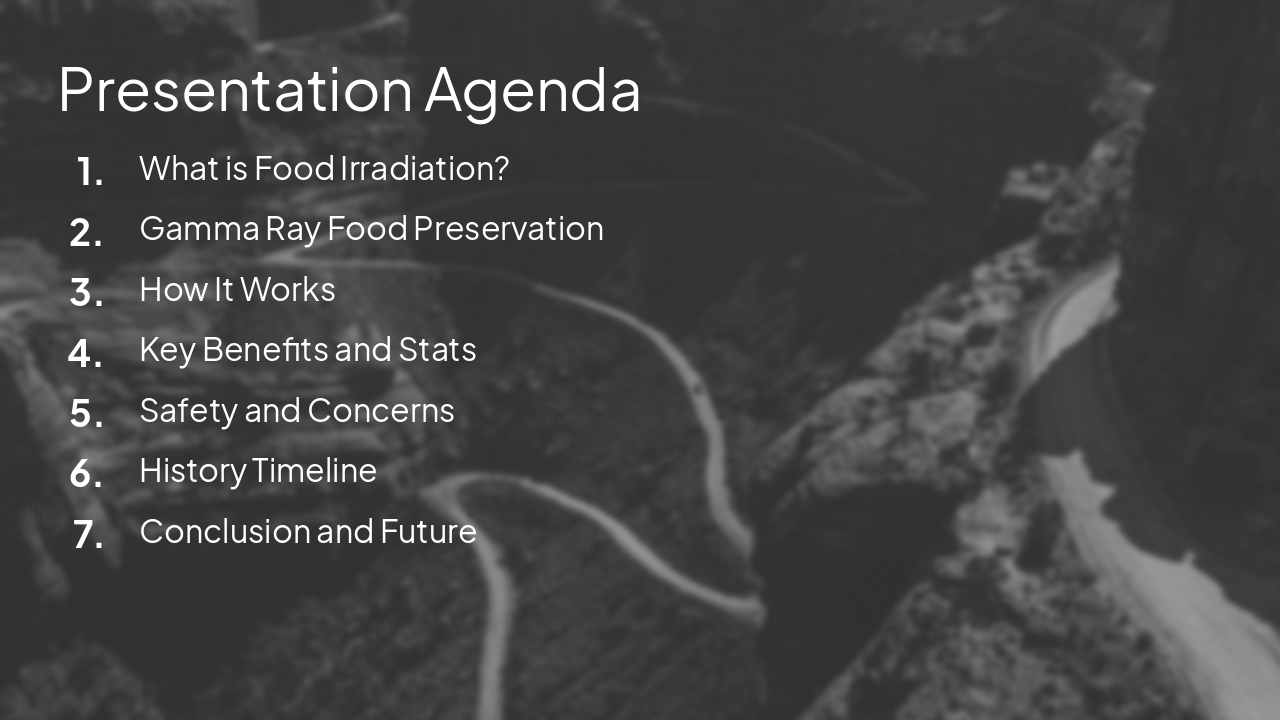 Slide 3 - Presentation Agenda