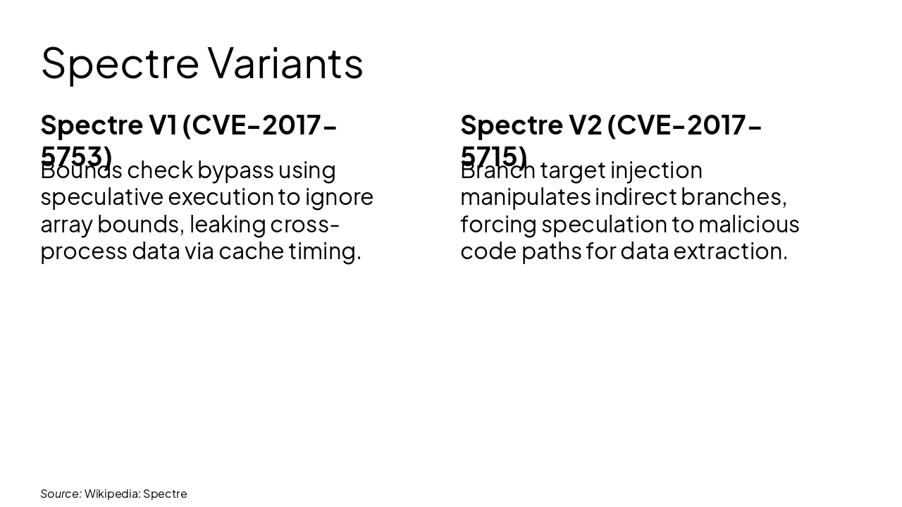 Slide 11 - Spectre Variants
