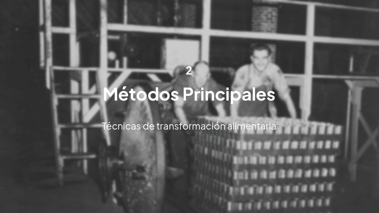 Slide 5 - Sección 2