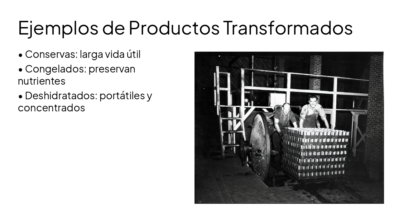 Slide 7 - Ejemplos de Productos Transformados