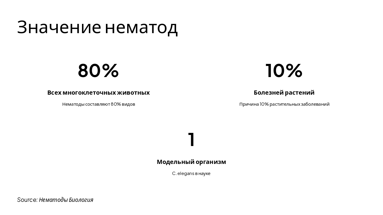 Slide 7 - Значение нематод