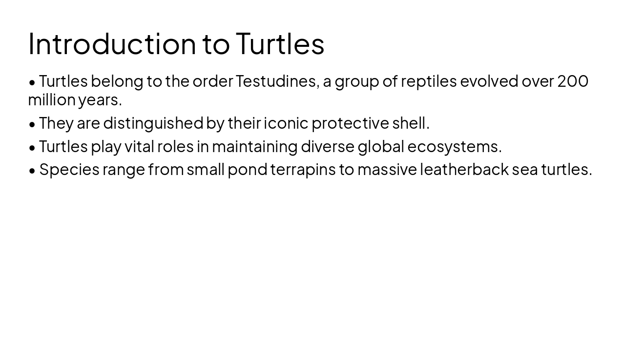 Slide 2 - Introduction to Turtles