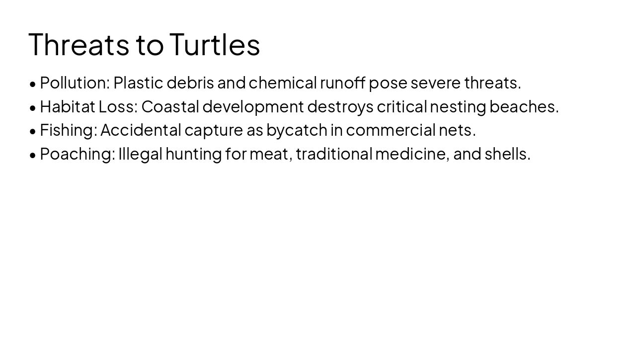 Slide 9 - Threats to Turtles