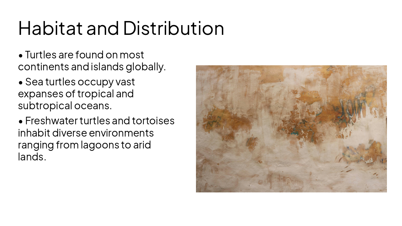 Slide 5 - Habitat and Distribution