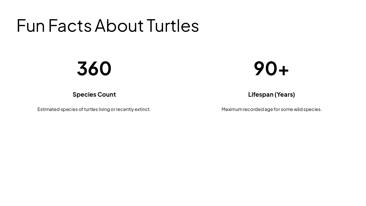 Slide 11 - Fun Facts About Turtles