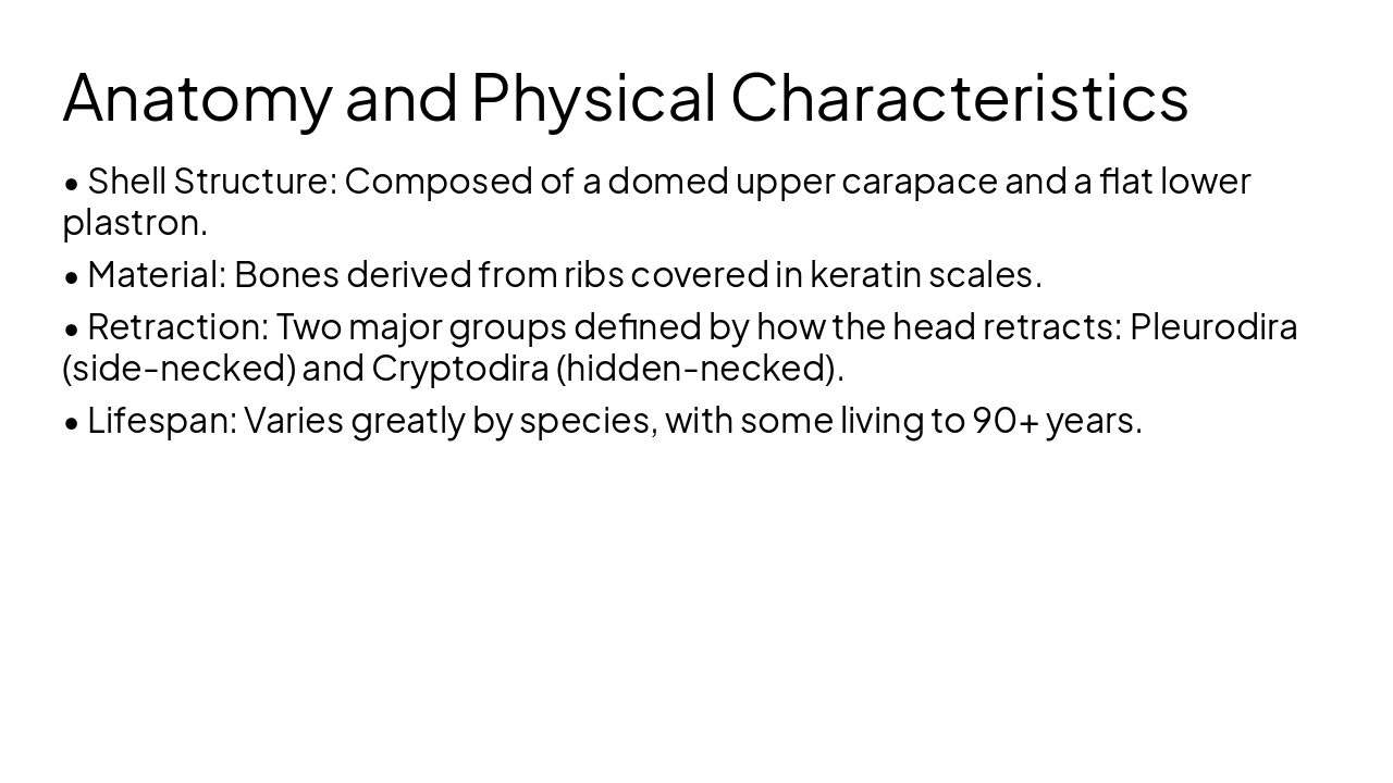 Slide 4 - Anatomy and Physical Characteristics