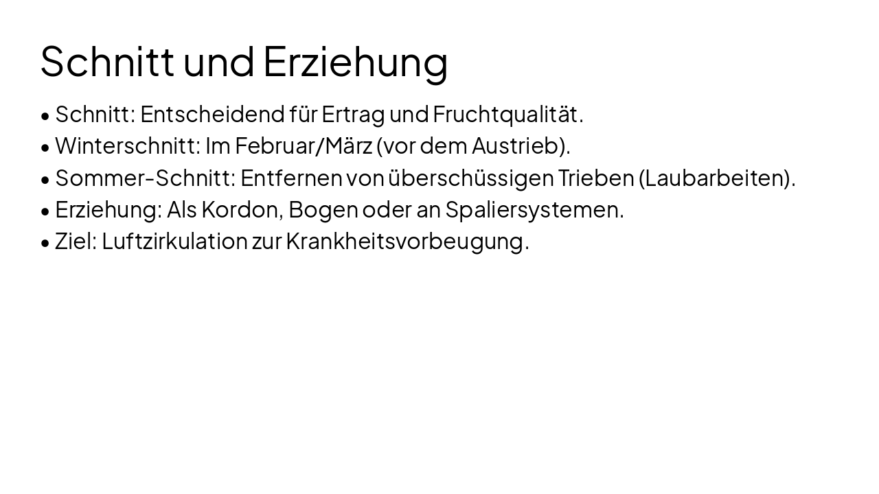 Slide 9 - Schnitt und Erziehung