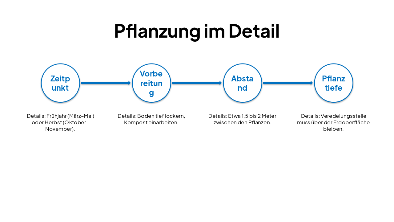 Slide 7 - Pflanzung im Detail
