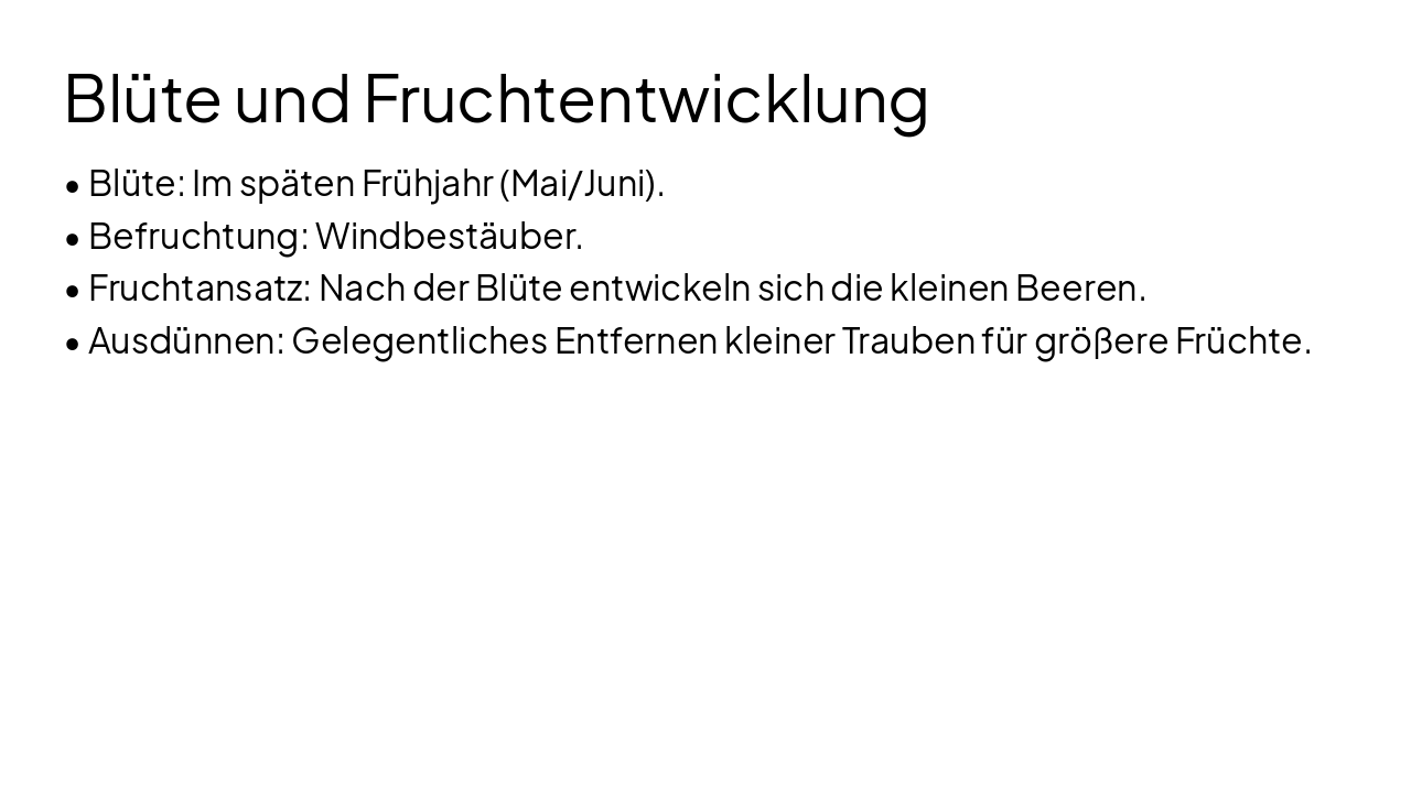 Slide 11 - Blüte und Fruchtentwicklung