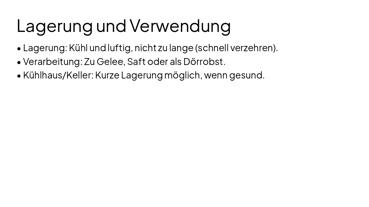Slide 13 - Lagerung und Verwendung