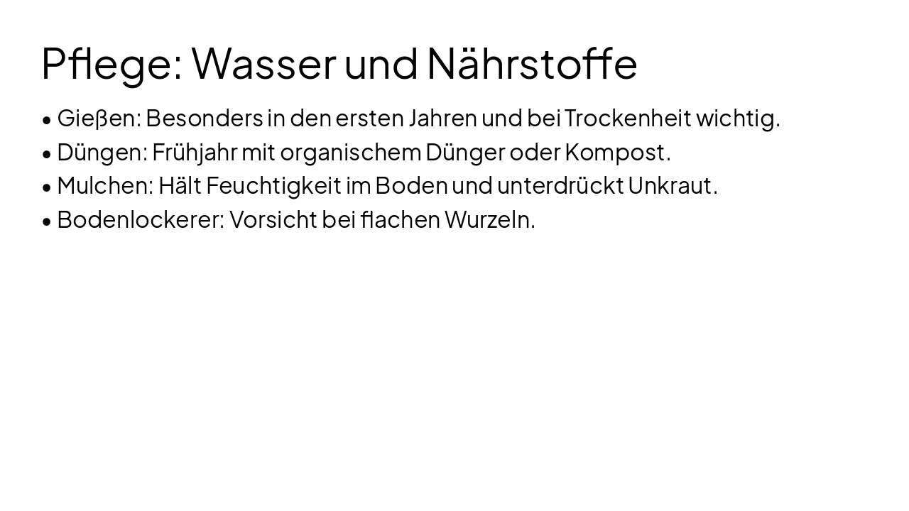 Slide 8 - Pflege: Wasser und Nährstoffe