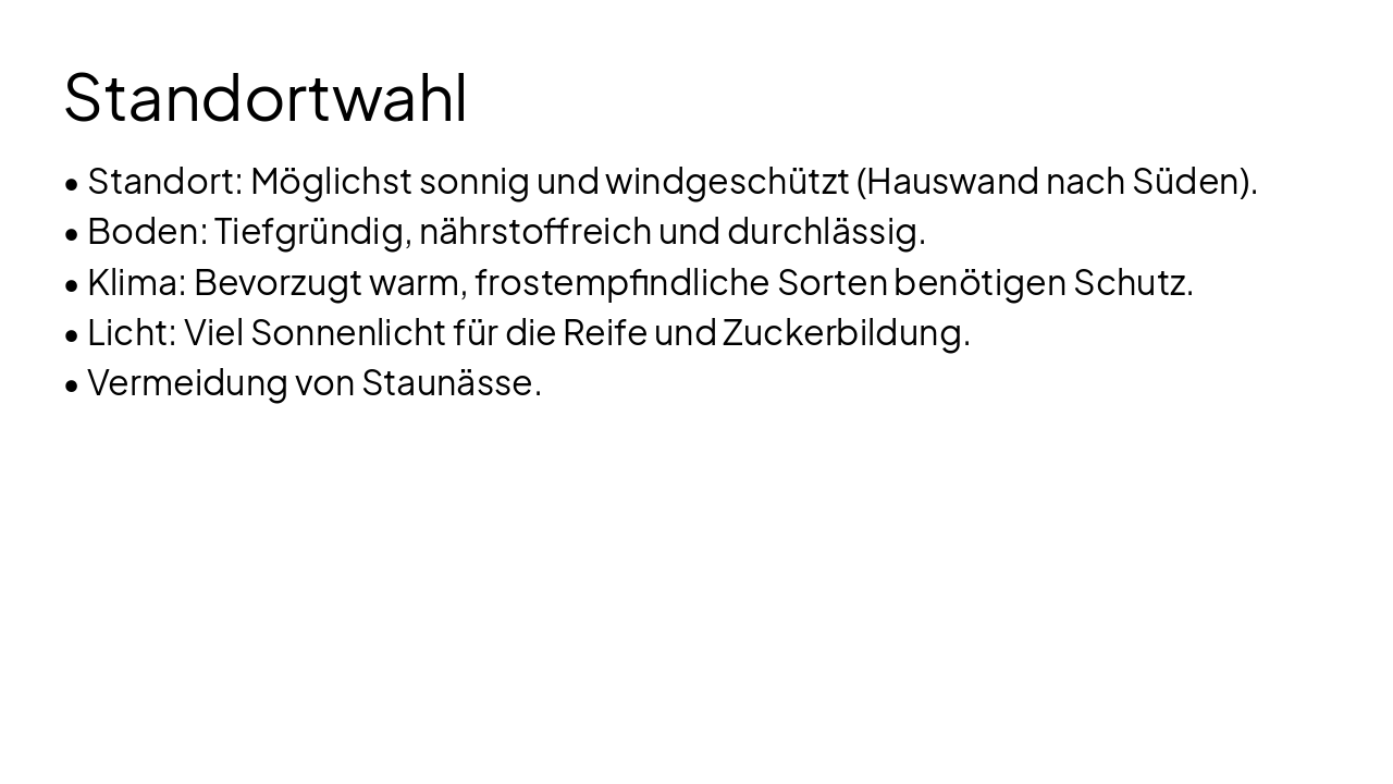 Slide 5 - Standortwahl