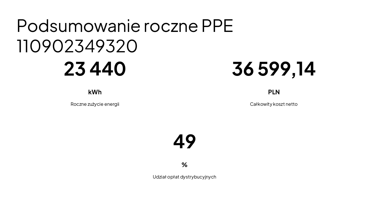Slide 4 - Podsumowanie roczne PPE 110902349320
