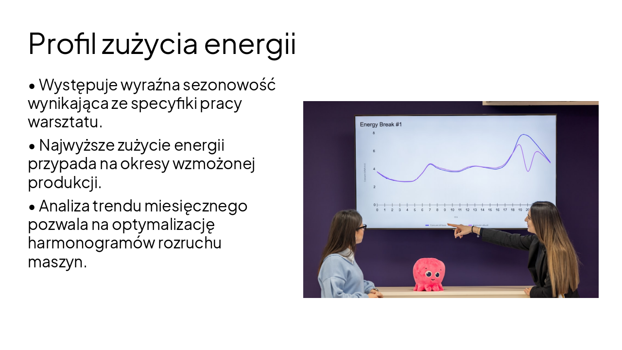 Slide 5 - Profil zużycia energii