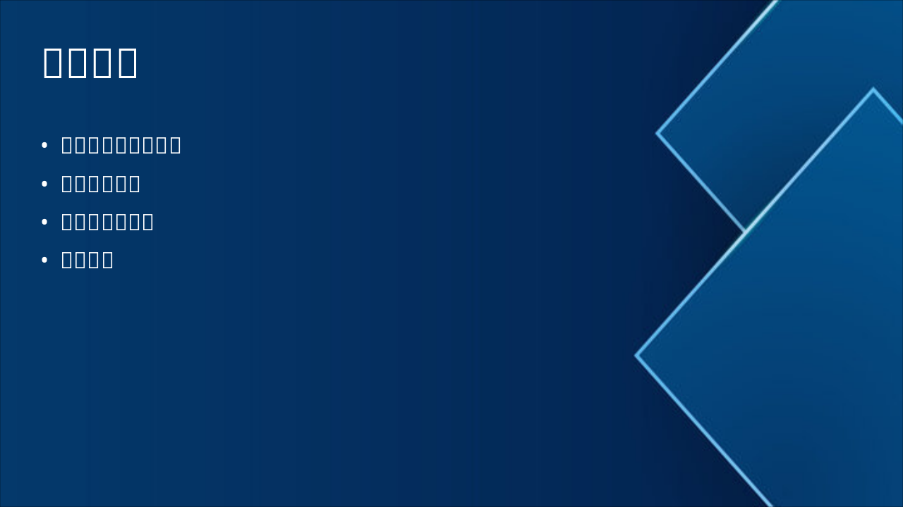 Slide 12 - 主要小节