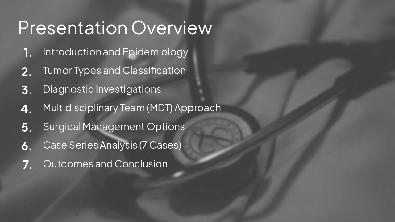 Slide 2 - Presentation Overview