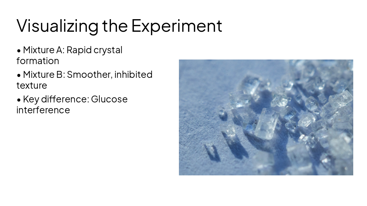 Slide 11 - Visualizing the Experiment