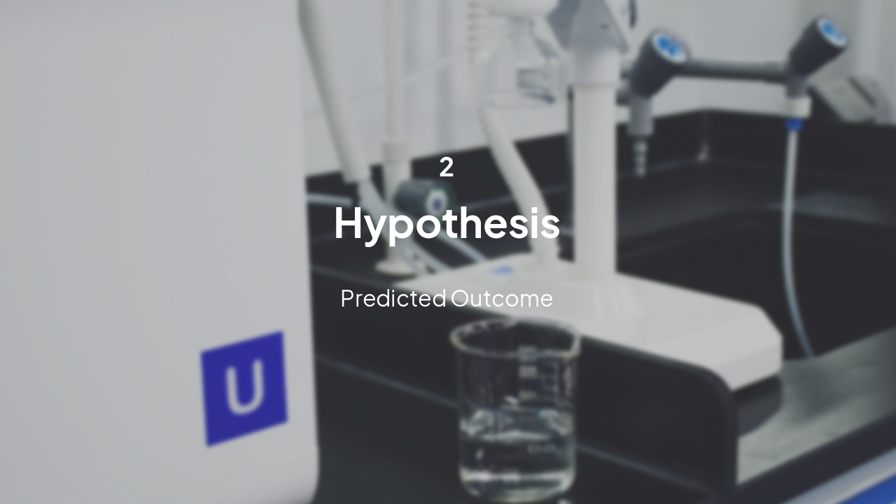 Slide 5 - 2. Hypothesis