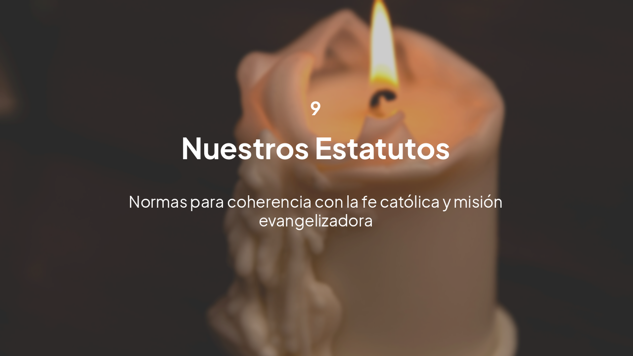 Slide 13 - Estatutos