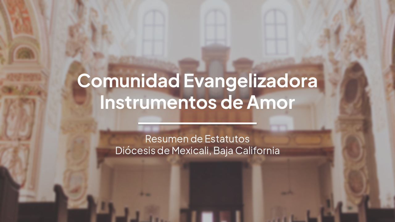 Comunidad Evangelizadora Instrumentos de Amor: Resumen de Estatutos