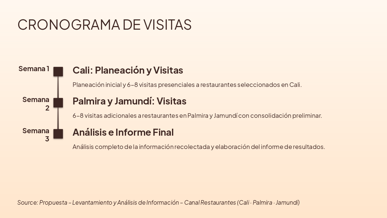 Slide 4 - CRONOGRAMA DE VISITAS