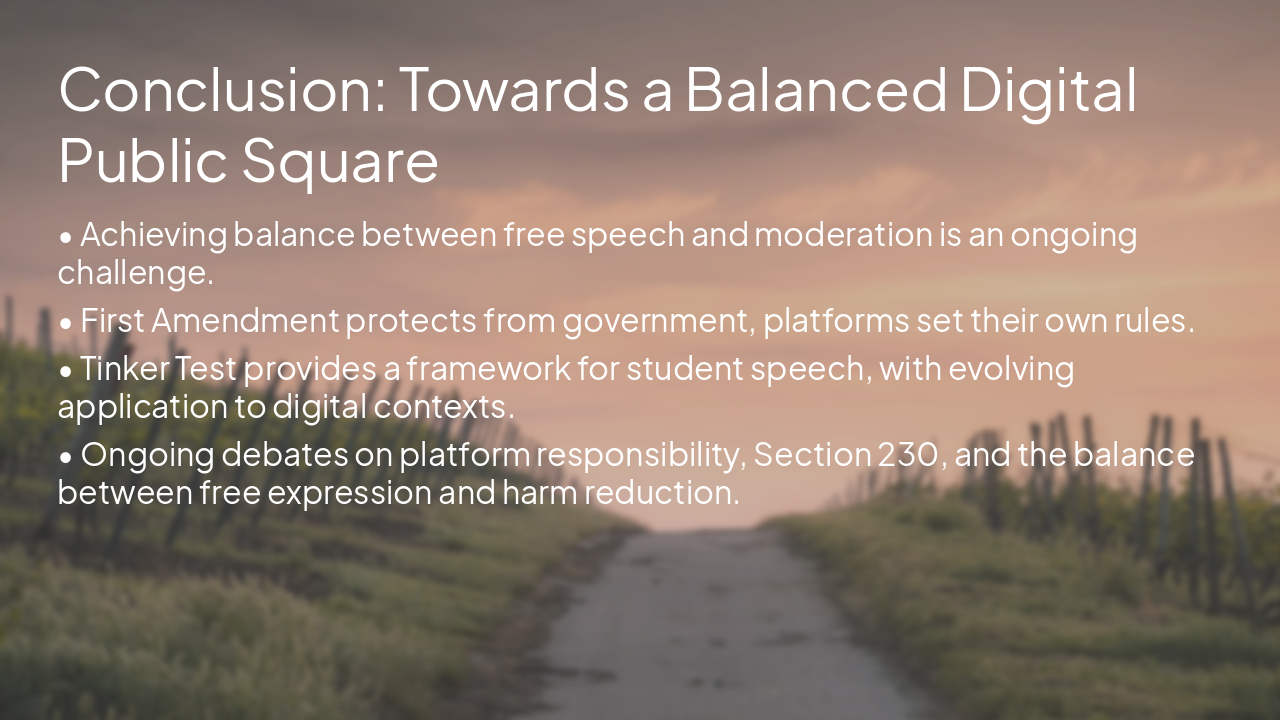 Slide 14 - Conclusion: Towards a Balanced Digital Public Square