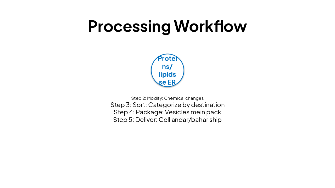 Slide 4 - Processing Workflow