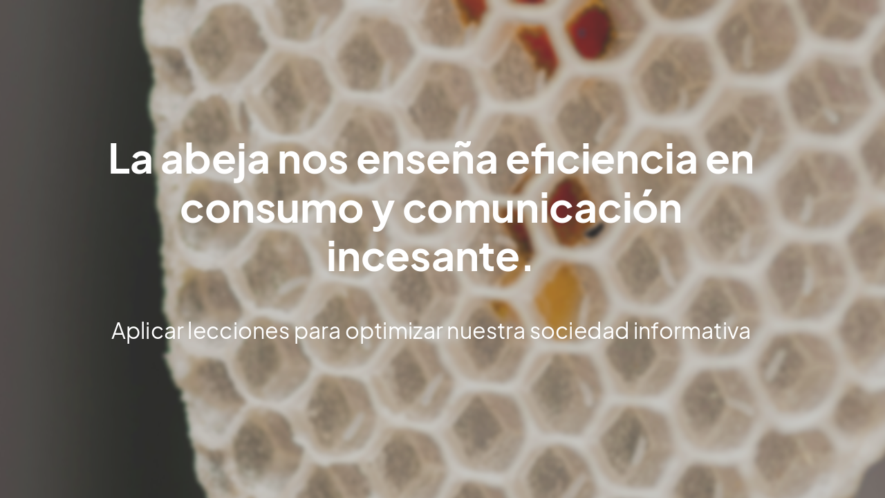 Slide 19 - Conclusiones