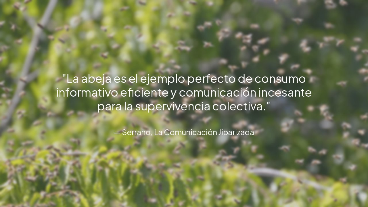 Slide 14 - Reflexión del Autor