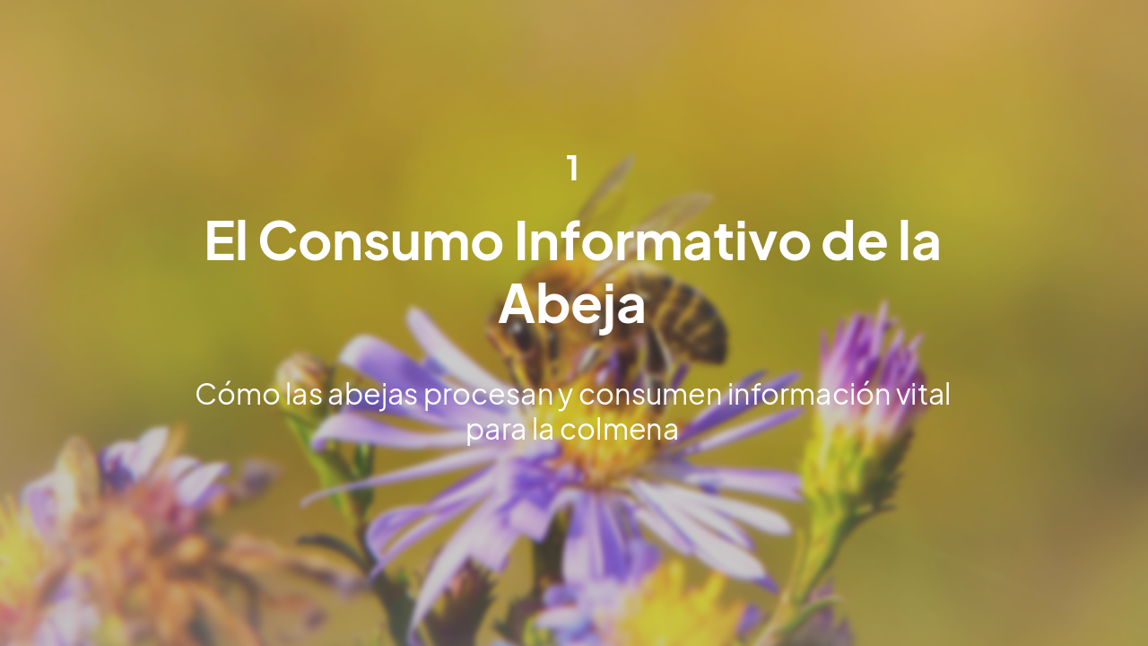 Slide 6 - 1. Consumo Informativo