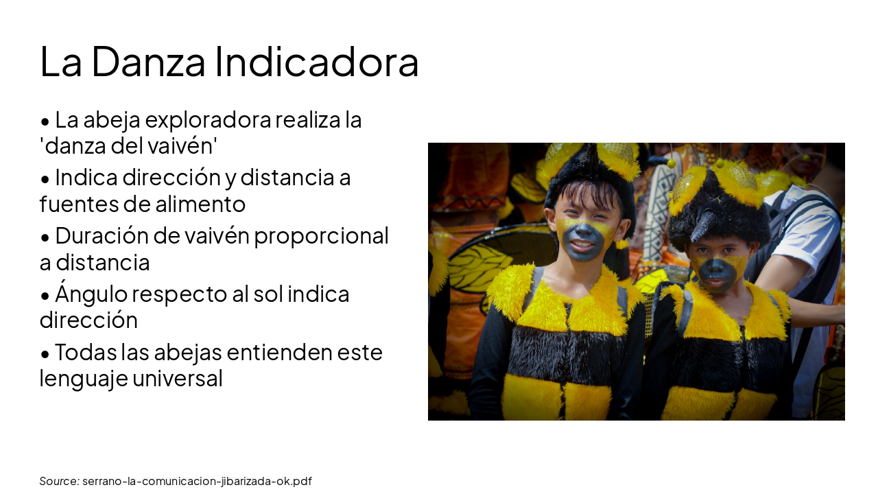Slide 10 - La Danza Indicadora