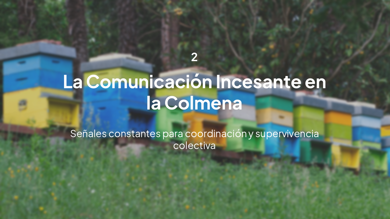 Slide 12 - 2. Comunicación Incesante