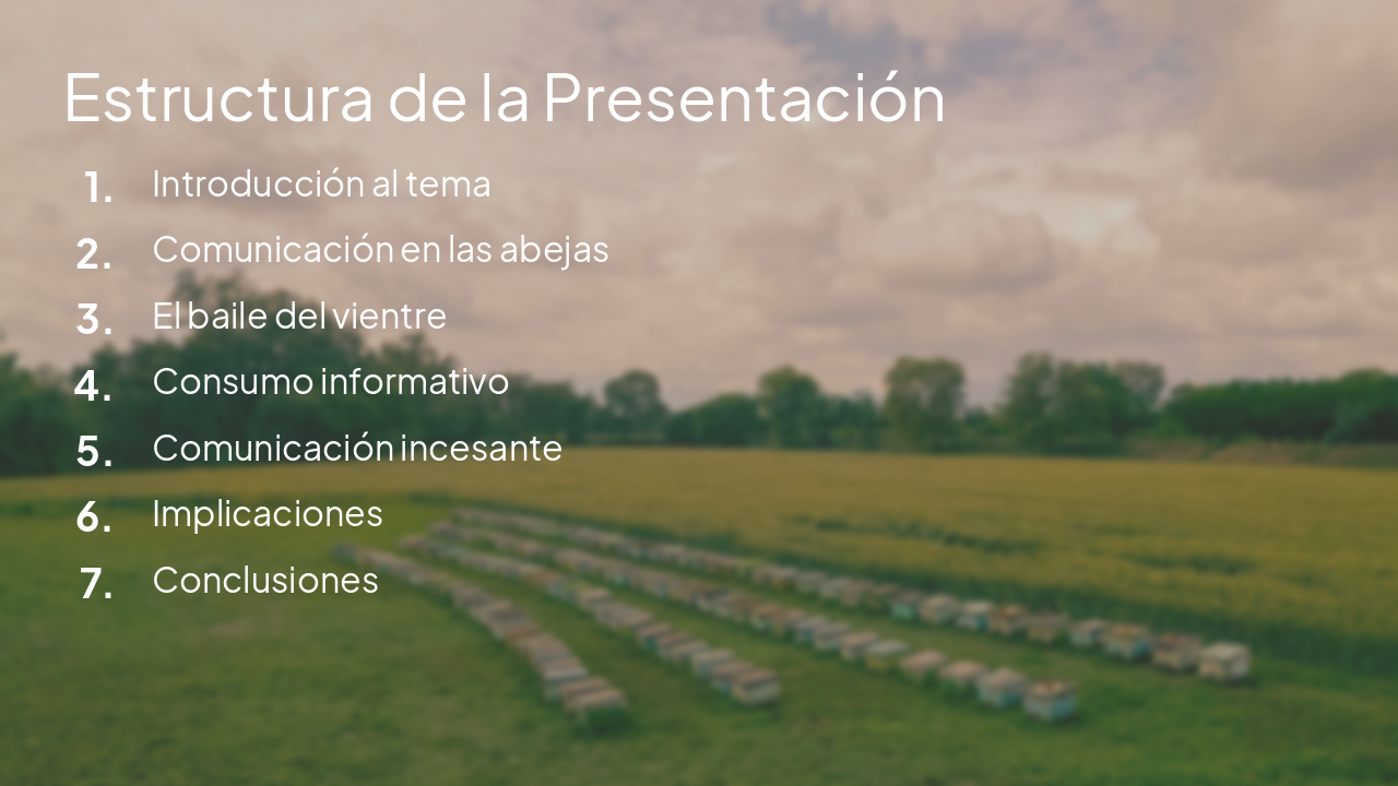 Slide 4 - Estructura de la Presentación