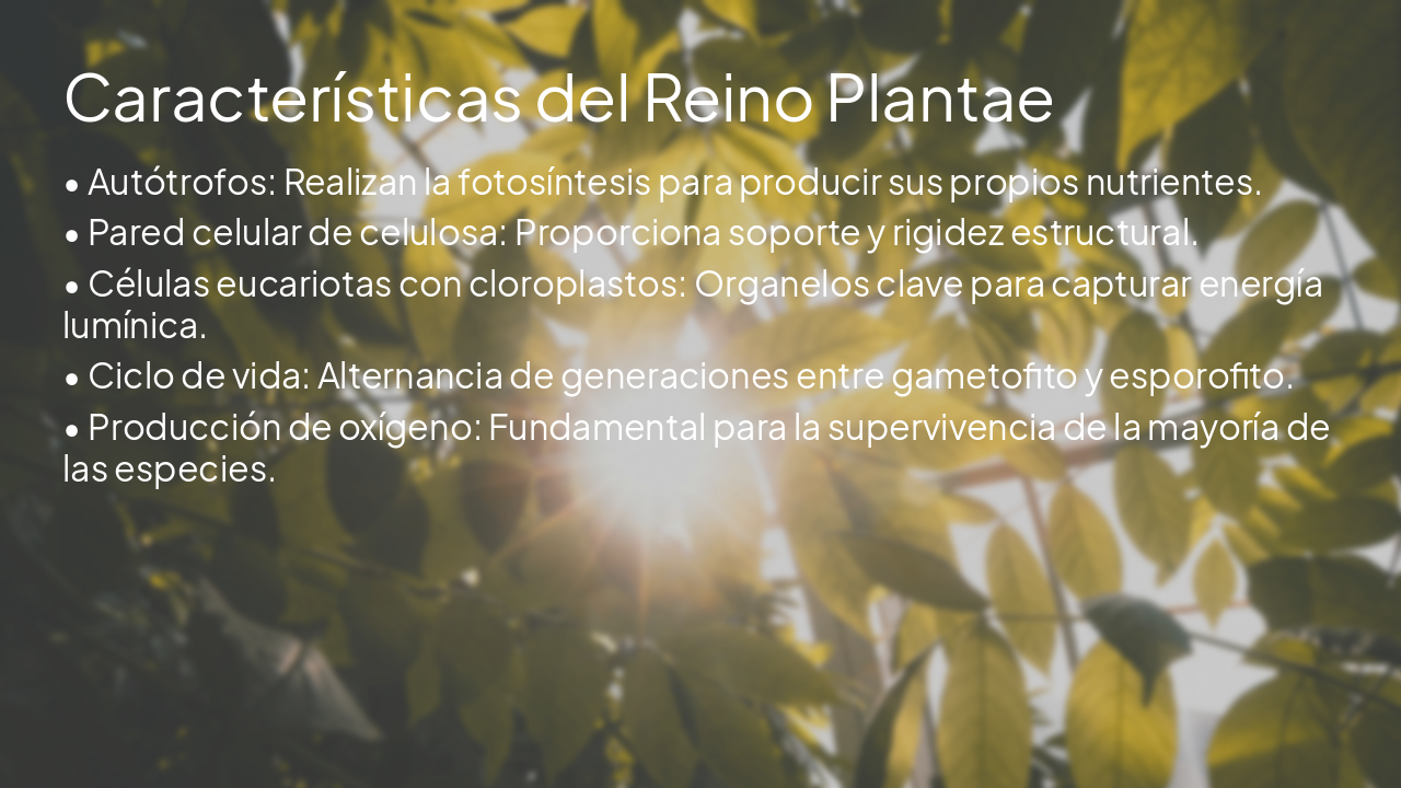 Slide 3 - Características del Reino Plantae