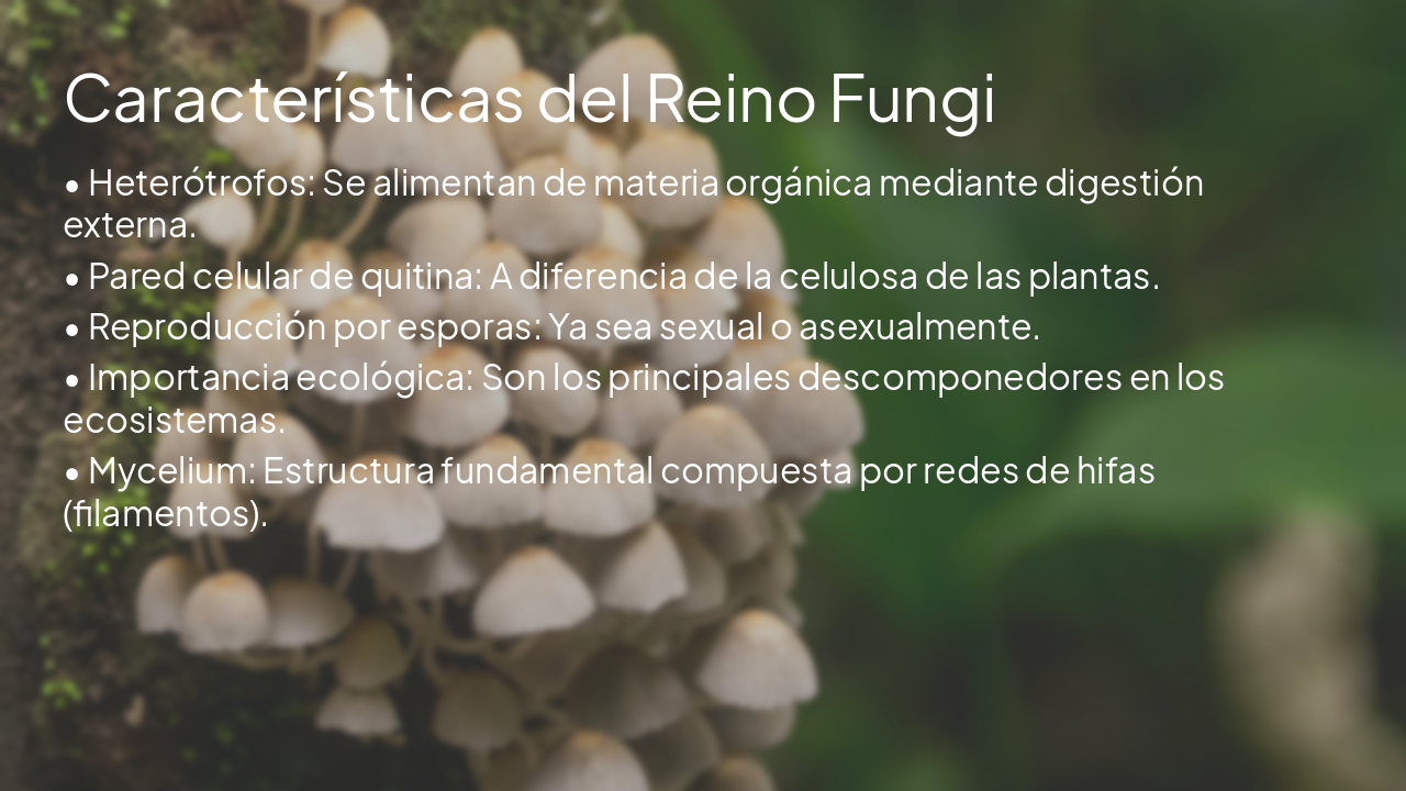 Slide 2 - Características del Reino Fungi