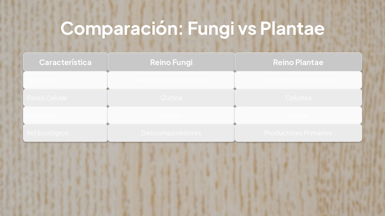 Slide 4 - Comparación: Fungi vs Plantae