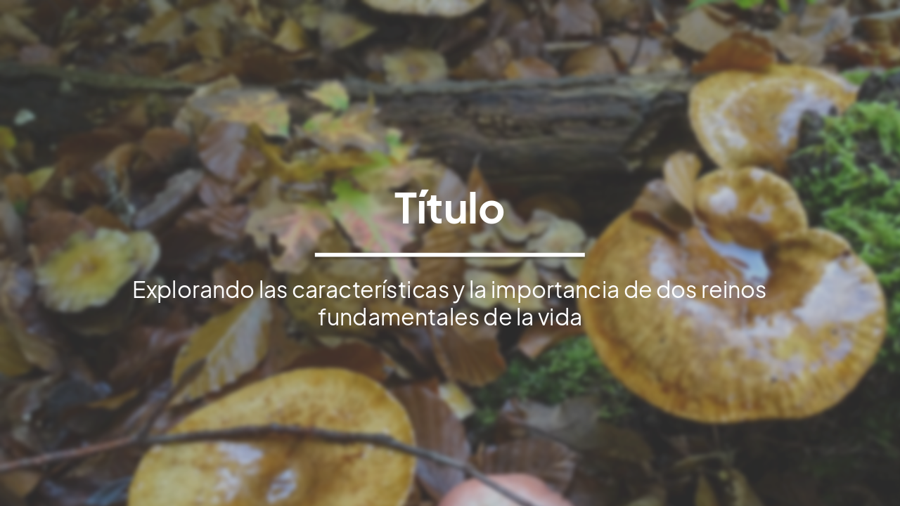 Slide 1 - Título