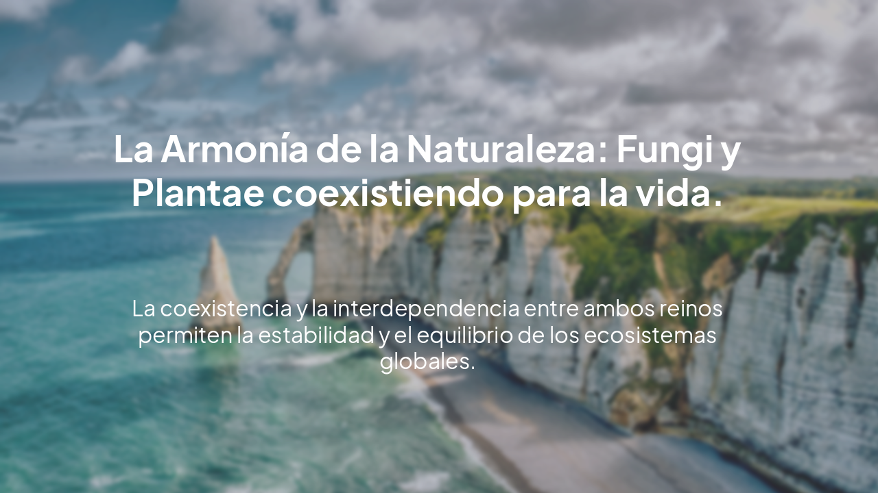 Slide 5 - Conclusión