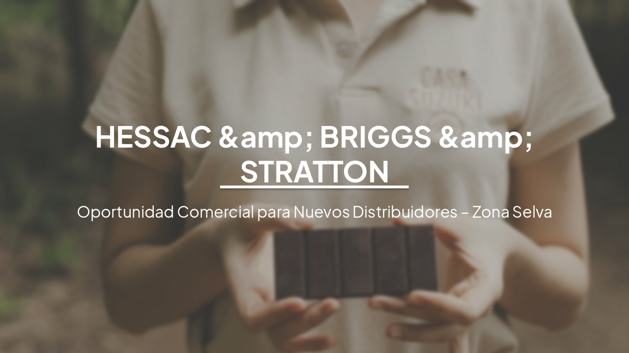 HESSAC & Briggs & Stratton: Oportunidad en Zona Selva