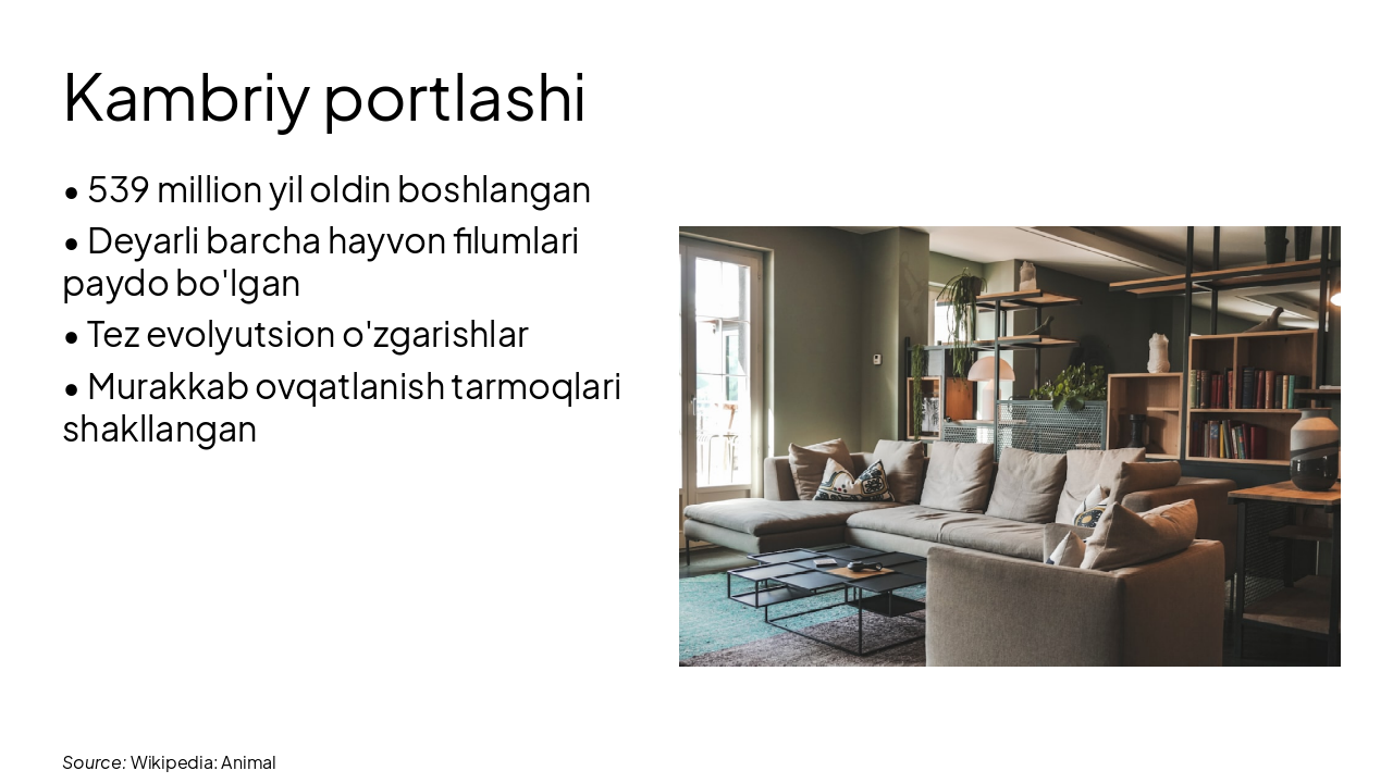 Slide 6 - Kambriy portlashi