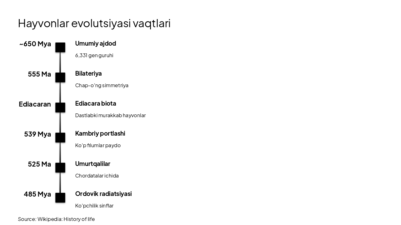 Slide 5 - Hayvonlar evolutsiyasi vaqtlari