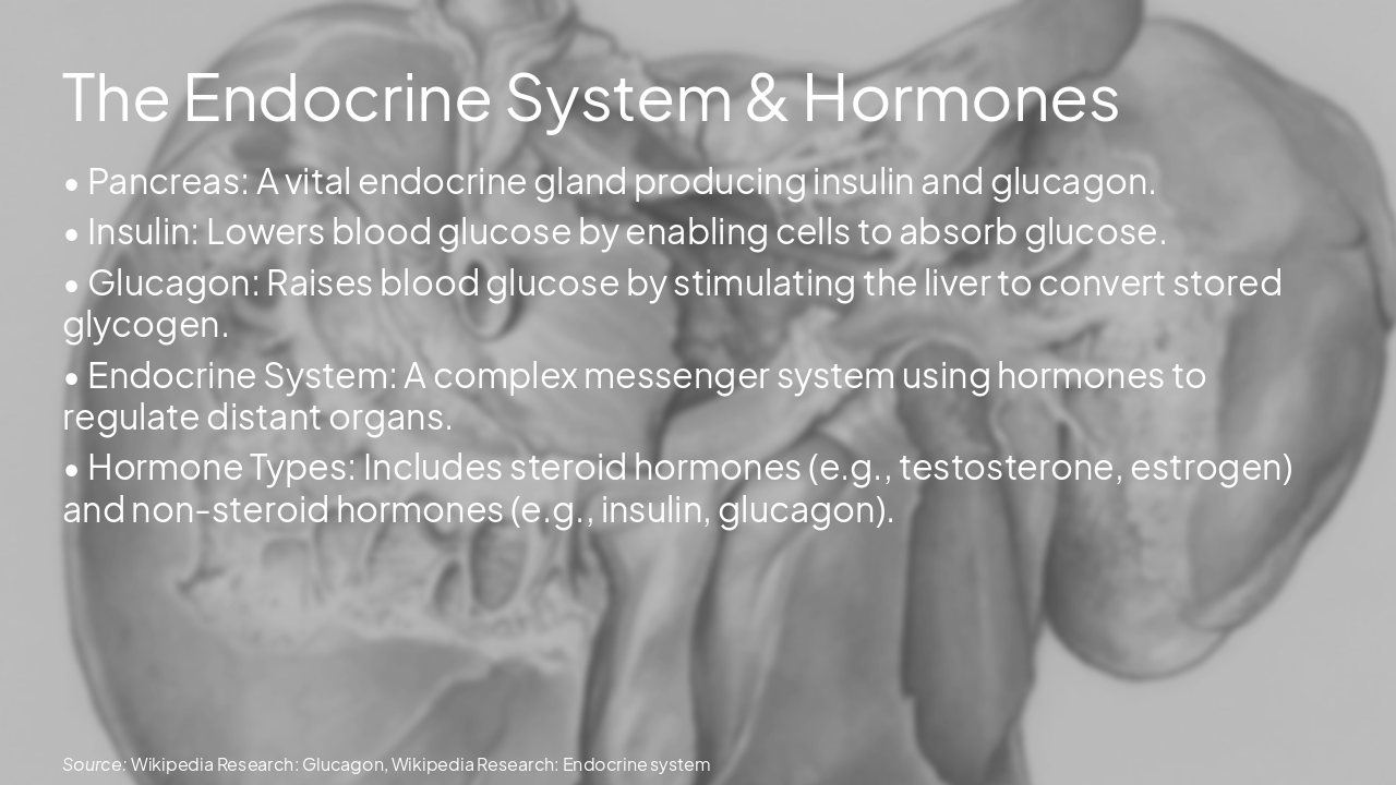 The Endocrine System and Hormonal Balance