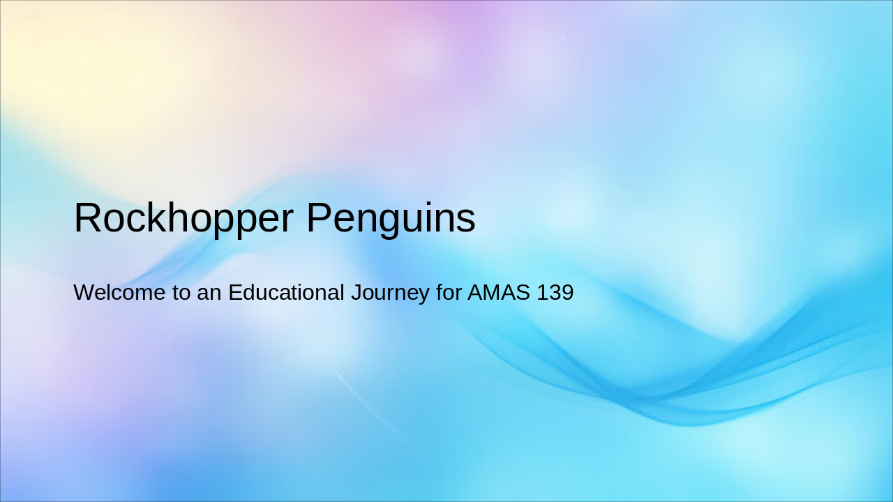 Rockhopper Penguins: Lives, Threats & Hope