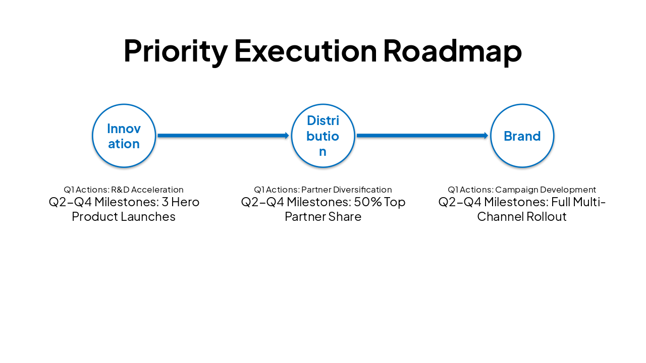 Slide 12 - Priority Execution Roadmap