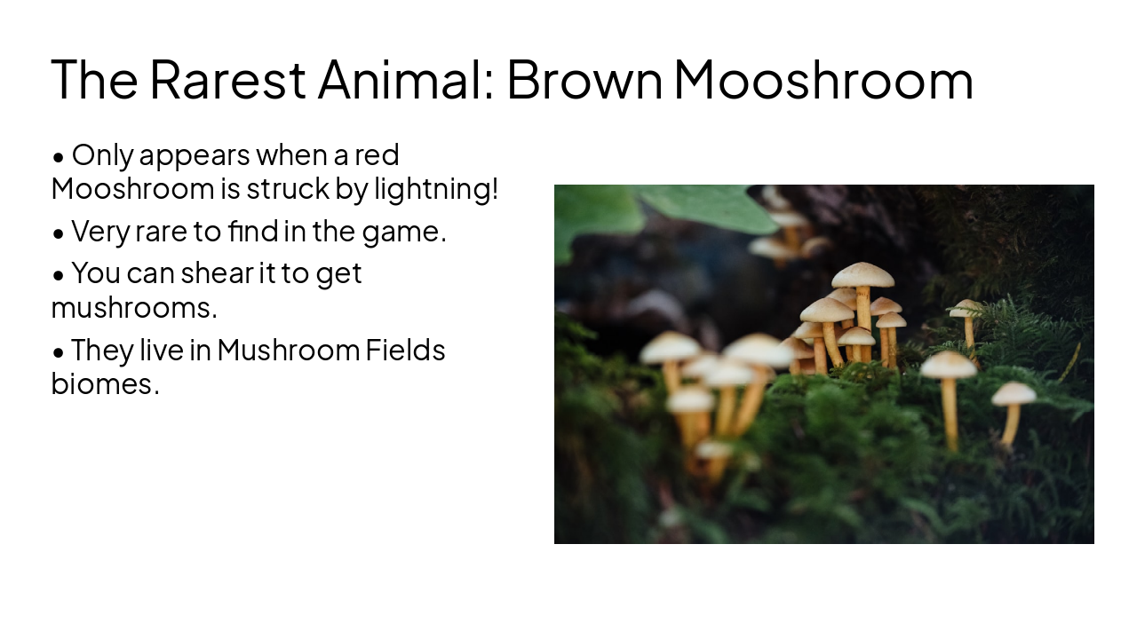 Slide 3 - The Rarest Animal: Brown Mooshroom