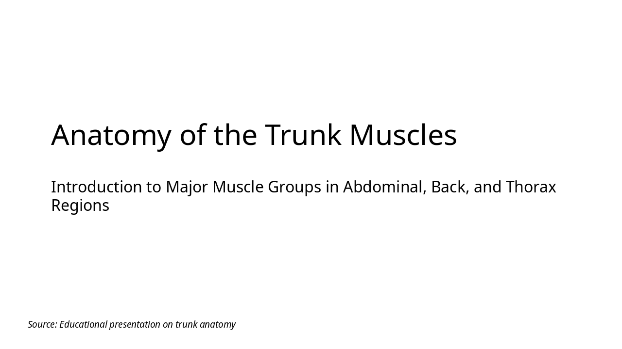 Trunk Muscles: Anatomy Essentials